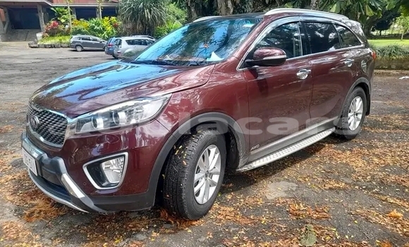 Buy Used Kia Sorento Red Car in Labasa in Northern Buy Used Kia Sorento Red Car in Labasa in Northern
