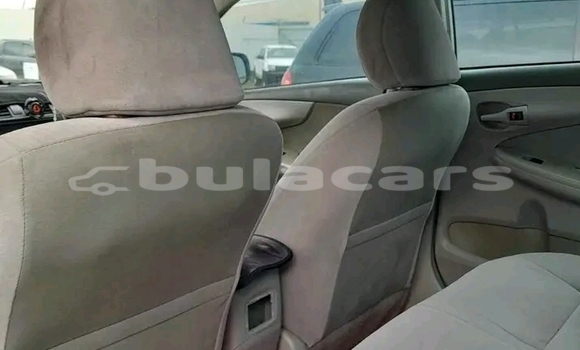 Acheter Occasion Voiture Toyota Corolla Blanc à Labasa, Northern Acheter Occasion Voiture Toyota Corolla Blanc à Labasa, Northern