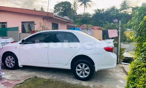 Acheter Occasion Voiture Toyota Corolla Blanc à Labasa, Northern Acheter Occasion Voiture Toyota Corolla Blanc à Labasa, Northern