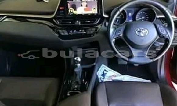 Buy Used Kia Optima Red Car in Korovou in Central Buy Used Kia Optima Red Car in Korovou in Central