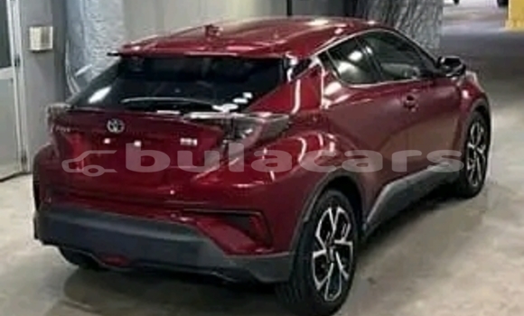 Buy Used Kia Optima Red Car in Korovou in Central Buy Used Kia Optima Red Car in Korovou in Central