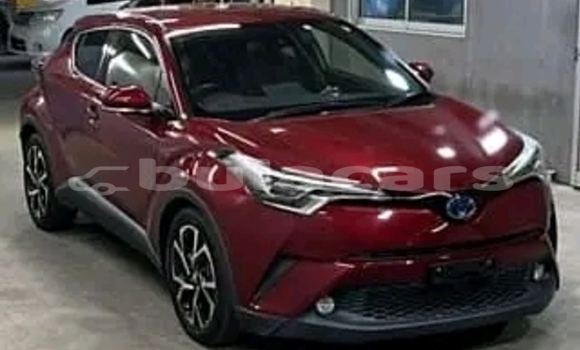 Buy Used Kia Optima Red Car in Korovou in Central Buy Used Kia Optima Red Car in Korovou in Central