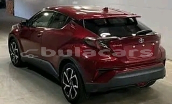 Buy Used Kia Optima Red Car in Korovou in Central Buy Used Kia Optima Red Car in Korovou in Central