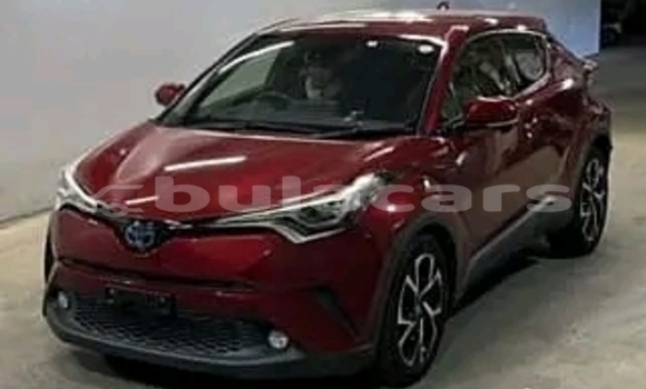 Buy Used Kia Optima Red Car in Korovou in Central Buy Used Kia Optima Red Car in Korovou in Central