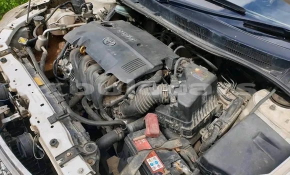 Acheter Occasion Voiture Honda Fit Blanc à Labasa, Northern Acheter Occasion Voiture Honda Fit Blanc à Labasa, Northern