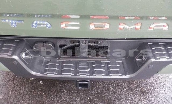 Buy Used Toyota Tacoma Green Car in Import - Dubai in Central Buy Used Toyota Tacoma Green Car in Import - Dubai in Central