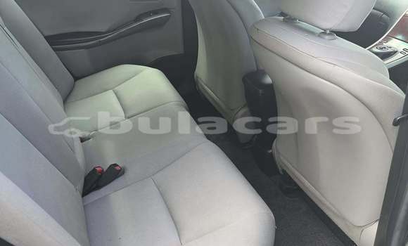 Buy Used Toyota Sai Beige Car in Suva in Central Buy Used Toyota Sai Beige Car in Suva in Central