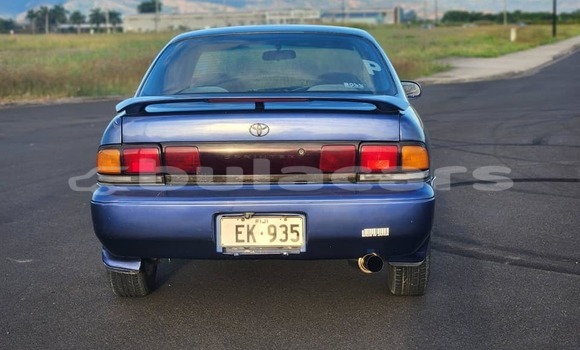 Acheter Occasion Voiture Toyota Allex Bleu à Vatukoula, Western Acheter Occasion Voiture Toyota Allex Bleu à Vatukoula, Western