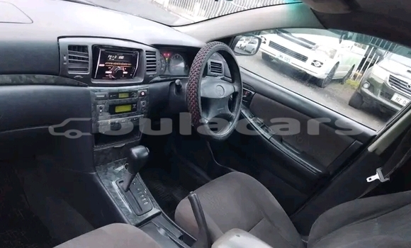 Buy Used Toyota Fielder White Car in Korovou in Central Buy Used Toyota Fielder White Car in Korovou in Central