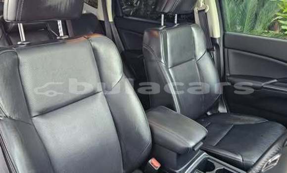 Buy Used Honda CRV Other Car in Suva in Central Buy Used Honda CRV Other Car in Suva in Central
