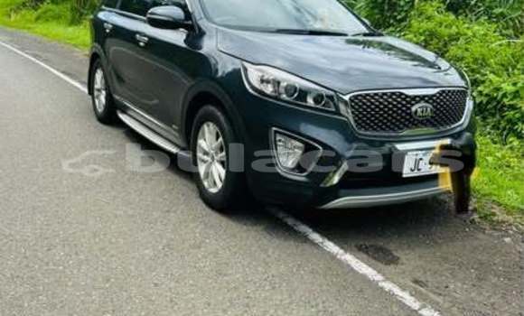 Buy Used Kia Sorento Other Car in Suva in Central