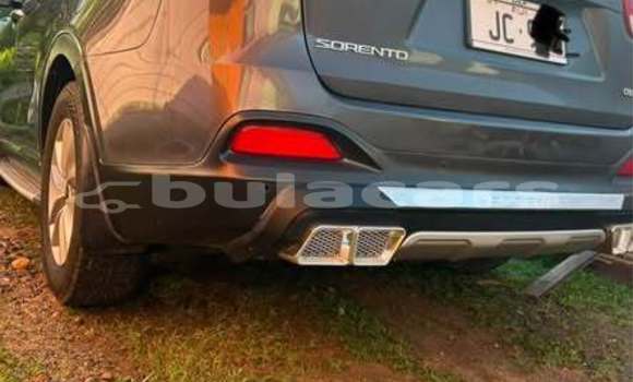 Buy Used Kia Sorento Other Car in Suva in Central Buy Used Kia Sorento Other Car in Suva in Central