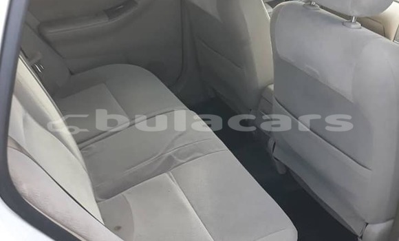 Acheter Occasion Voiture Toyota Corolla Autre à Suva, Central Acheter Occasion Voiture Toyota Corolla Autre à Suva, Central