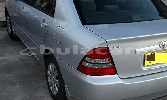Acheter Occasion Voiture Toyota Corolla Autre à Suva, Central Acheter Occasion Voiture Toyota Corolla Autre à Suva, Central