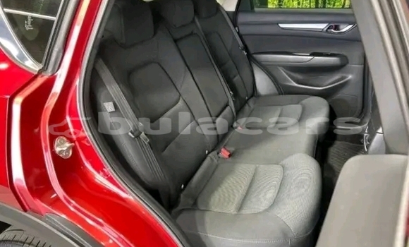 Buy Used Mazda CX-5 Red Car in Labasa in Northern