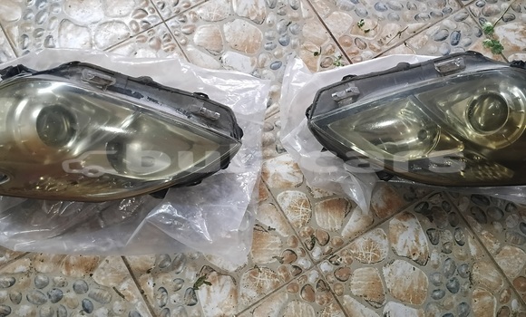 Medium with watermark 1000001923