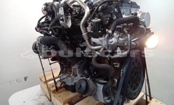 Buy Ford Ranger 3.2L Engine in Suva in Central Buy Ford Ranger 3.2L Engine in Suva in Central