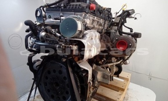 Buy Ford Ranger 3.2L Engine in Suva in Central Buy Ford Ranger 3.2L Engine in Suva in Central