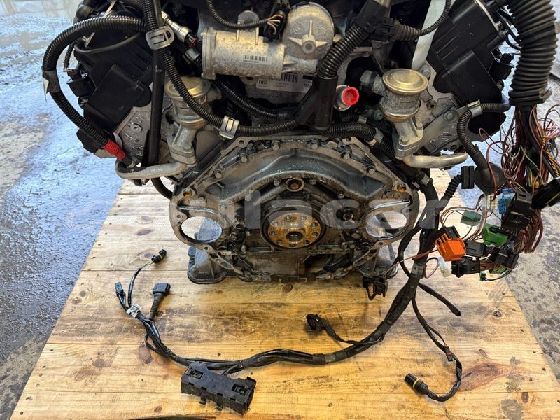 Big with watermark 4