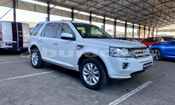 Buy Used Land Rover Freelander White Car in Nadi in Western