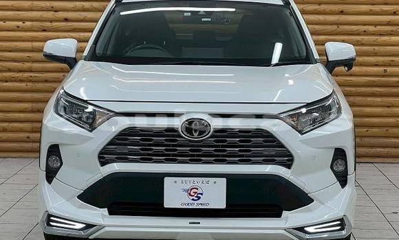 Buy Used Toyota RAV4 White Car in Suva in Central