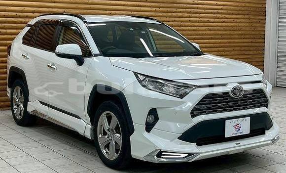 Buy Used Toyota RAV4 White Car in Suva in Central Buy Used Toyota RAV4 White Car in Suva in Central