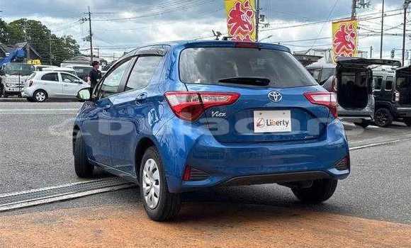 Buy Used Toyota Vitz Blue Car in Suva in Central Buy Used Toyota Vitz Blue Car in Suva in Central