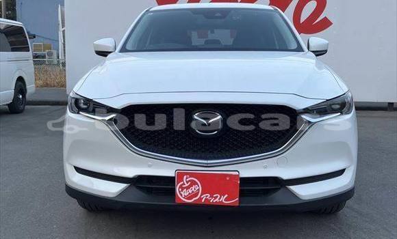 Buy Used Mazda CX-5 White Car in Suva in Central