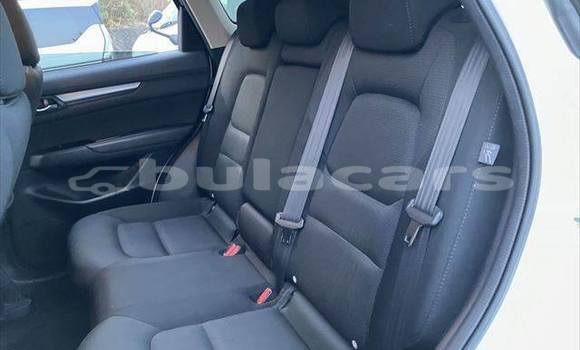 Buy Used Mazda CX-5 White Car in Suva in Central Buy Used Mazda CX-5 White Car in Suva in Central