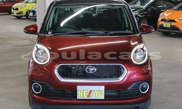 Buy Used Toyota Passo Red Car in Suva in Central