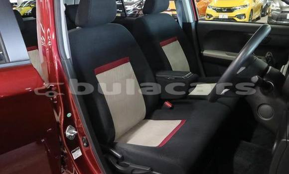 Buy Used Toyota Passo Red Car in Suva in Central Buy Used Toyota Passo Red Car in Suva in Central