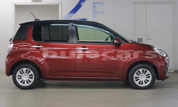 Buy Used Toyota Passo Red Car in Suva in Central Buy Used Toyota Passo Red Car in Suva in Central