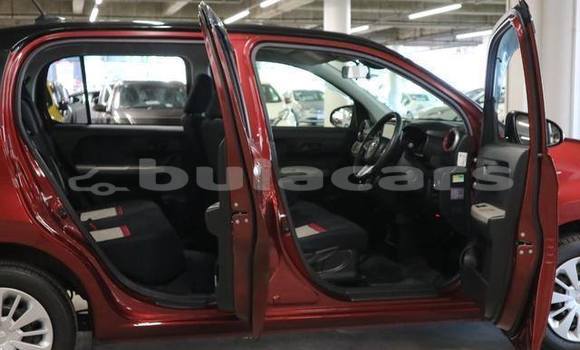 Buy Used Toyota Passo Red Car in Suva in Central Buy Used Toyota Passo Red Car in Suva in Central