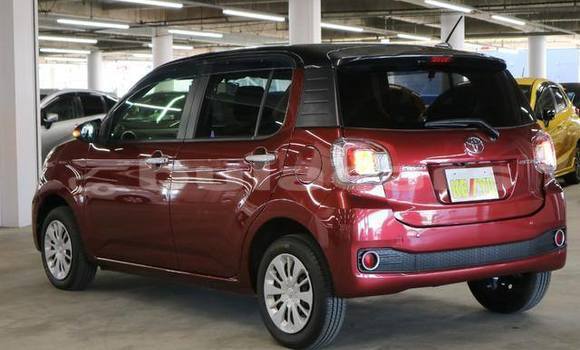 Buy Used Toyota Passo Red Car in Suva in Central Buy Used Toyota Passo Red Car in Suva in Central