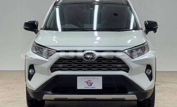 Buy Used Toyota RAV4 White Car in Suva in Central