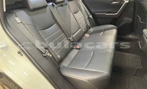 Buy Used Toyota RAV4 White Car in Suva in Central Buy Used Toyota RAV4 White Car in Suva in Central