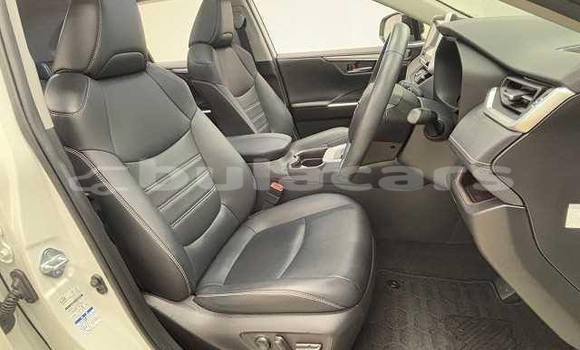 Buy Used Toyota RAV4 White Car in Suva in Central Buy Used Toyota RAV4 White Car in Suva in Central