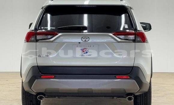 Buy Used Toyota RAV4 White Car in Suva in Central Buy Used Toyota RAV4 White Car in Suva in Central