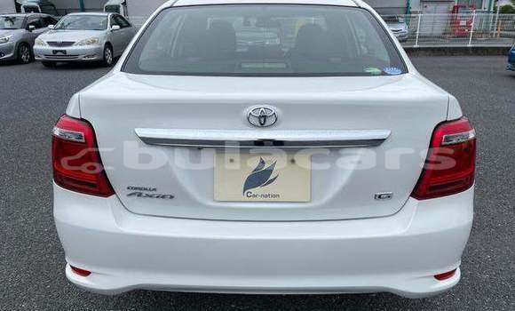 Buy Used Toyota Axio White Car in Suva in Central Buy Used Toyota Axio White Car in Suva in Central