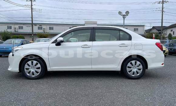 Buy Used Toyota Axio White Car in Suva in Central Buy Used Toyota Axio White Car in Suva in Central