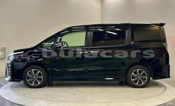 Buy Used Toyota Voxy Black Car in Suva in Central Buy Used Toyota Voxy Black Car in Suva in Central