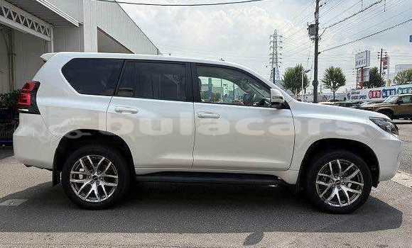 Buy Used Toyota Prado White Car in Suva in Central Buy Used Toyota Prado White Car in Suva in Central
