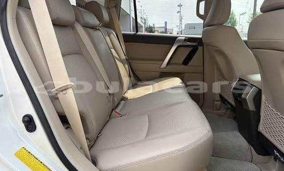 Buy Used Toyota Prado White Car in Suva in Central Buy Used Toyota Prado White Car in Suva in Central
