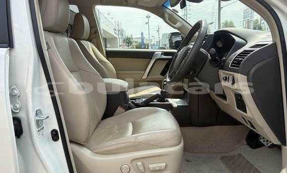 Buy Used Toyota Prado White Car in Suva in Central Buy Used Toyota Prado White Car in Suva in Central