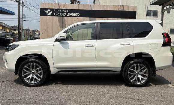 Buy Used Toyota Prado White Car in Suva in Central Buy Used Toyota Prado White Car in Suva in Central