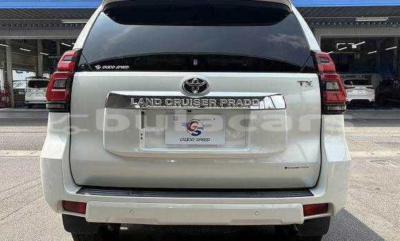 Buy Used Toyota Prado White Car in Suva in Central Buy Used Toyota Prado White Car in Suva in Central