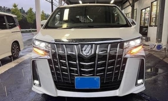 Acheter Occasion Voiture Toyota Voxy Blanc à Suva, Central