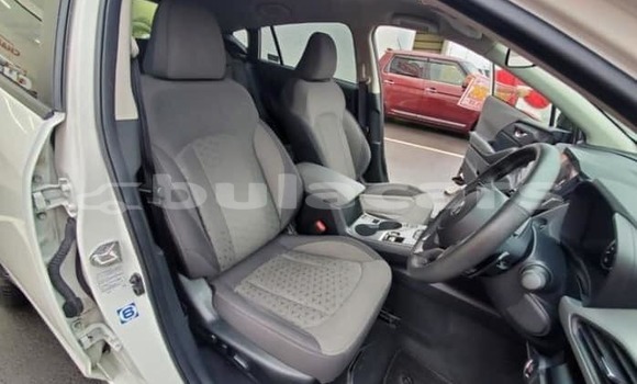 Buy Used Subaru Baja White Car in Suva in Central Buy Used Subaru Baja White Car in Suva in Central