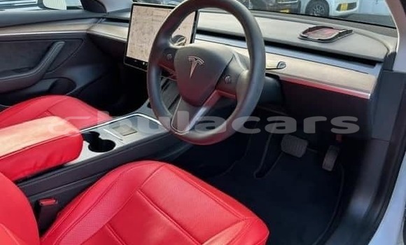 Buy Used Tesla Model 3 White Car in Suva in Central Buy Used Tesla Model 3 White Car in Suva in Central