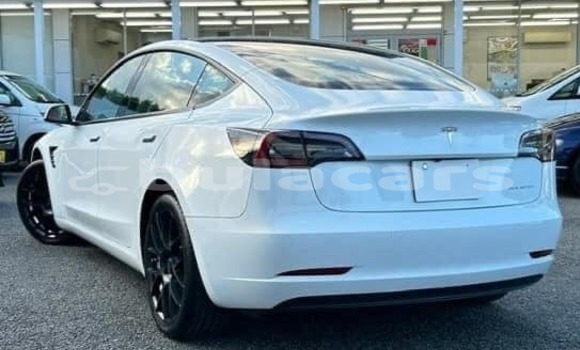 Buy Used Tesla Model 3 White Car in Suva in Central Buy Used Tesla Model 3 White Car in Suva in Central